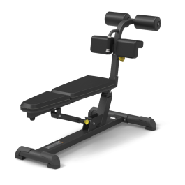 <span>CSF </span>ADJUSTABLE AB BENCH