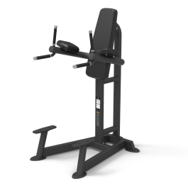 <span>CSF </span>VERTICAL LEG RAISE/DIP
