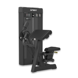 <span>CSS </span>Biceps Curl